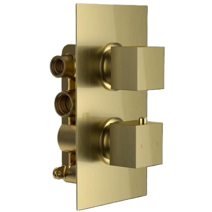 Aquarius Bathrooms Concealed Shower Valve Brushed Brass Aquarius RainLux Square 2 Outlet Concealed Shower Valve