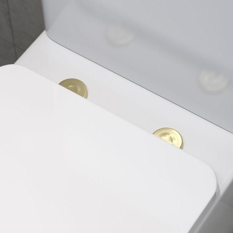 Aquarius Urbano Rimless Wall Hung Toilet Pack with Frame, Flush Plate, Soft Closing Seat and Hinge Covers