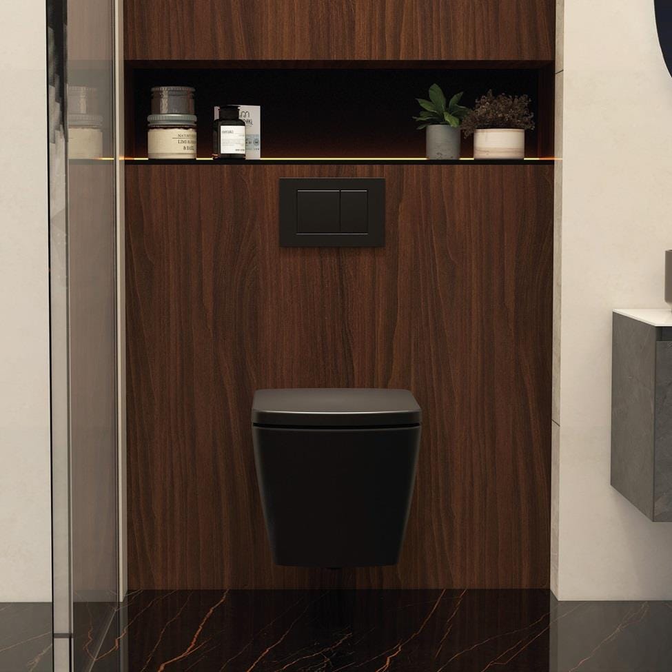 Aquarius Bathrooms Wall Hung Toilet Aquarius JF-Series Wall Hung Pan and Soft Close Seat Black