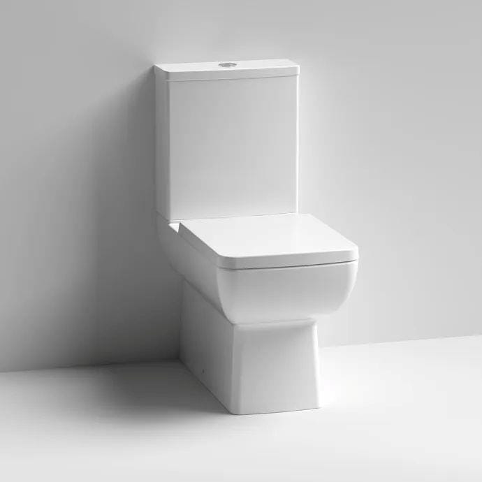 Aquarius Bathrooms Close Coupled Toilet Aquarius Paragon Rimless Close Coupled Square Flush to Wall Toilet with Soft Close Seat