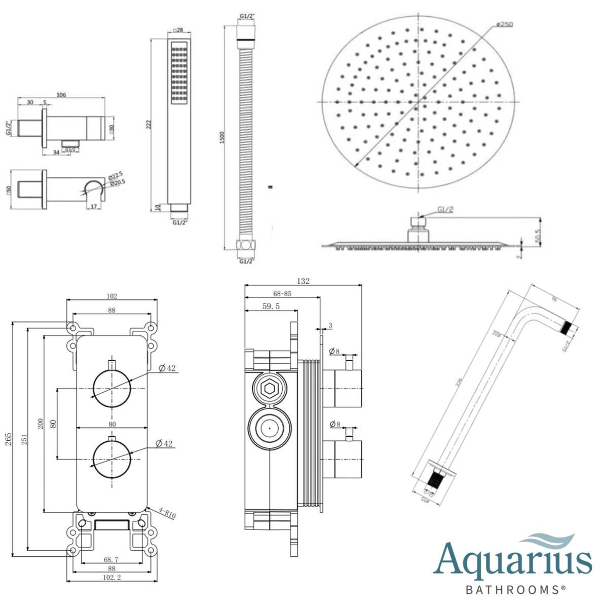 Aquarius RainLux 2 Outlet Thermostatic Shower Set with Shower Head and Single Function Handset