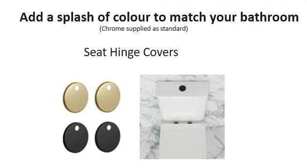 Aquarius Bathrooms Back To Wall Toilet Aquarius K-Series Rimless Back To Wall Toilet and Soft Close Seat AQKS537