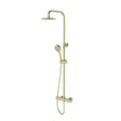 Aquarius Bathrooms Bar Shower Kit Brushed Brass Aquarius RainLux Eco Round Adjustable Exposed Bar Shower System