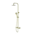 Aquarius Bathrooms Exposed Shower Set Brushed Brass Aquarius RainLux Eco Round Adjustable Exposed Bar Shower System