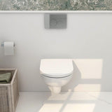 Aquarius Bathrooms Wall Hung Toilet Aquarius Ricardo Rimless Wall Hung Toilet with Soft Close Seat