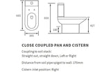 Aquarius View 550mm Vanity Unit and Close Coupled WC Toilet Set AQVW2560