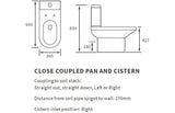 Aquarius Bathroom Suite Aquarius View 550mm Vanity Unit and Close Coupled WC Toilet Set AQVW2560