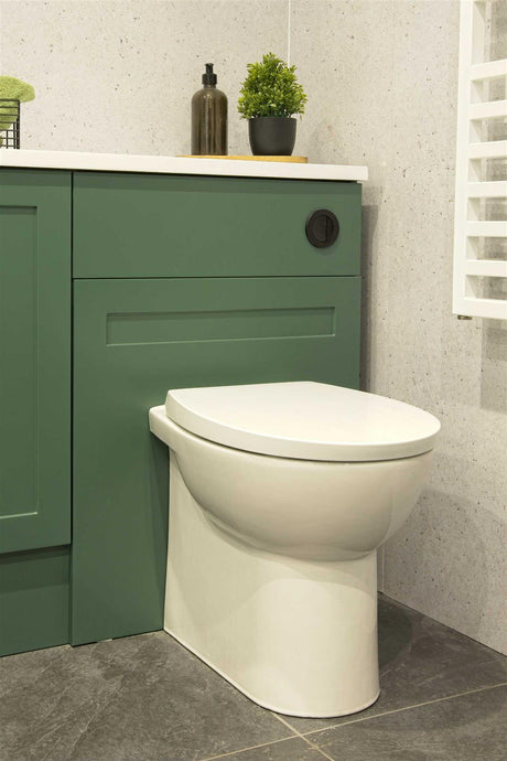Aquarius QualEco Back To Wall Rimless Toilet with Soft Close Seat