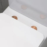 Aquarius Bathrooms Back To Wall Toilet Aquarius Urbano Rimless Back to Wall Toilet Pack with Cistern, Flush Plate, Soft Closing Seat and Hinge Covers