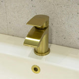 Aquarius Arc Mini Mono Basin Mixer Tap with Waste