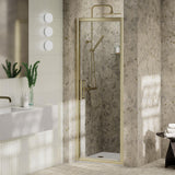 Aquarius Pluvia 8mm Pivot Shower Door
