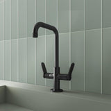 Aquarius Bathrooms Mono Basin Tap Matt Black Aquarius Calix Dual Control Basin Mixer Tap