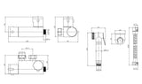 Aquarius FT Shattaf Douche Kit with Thermostatic Mini Valve Brushed Brass AQFT82BB