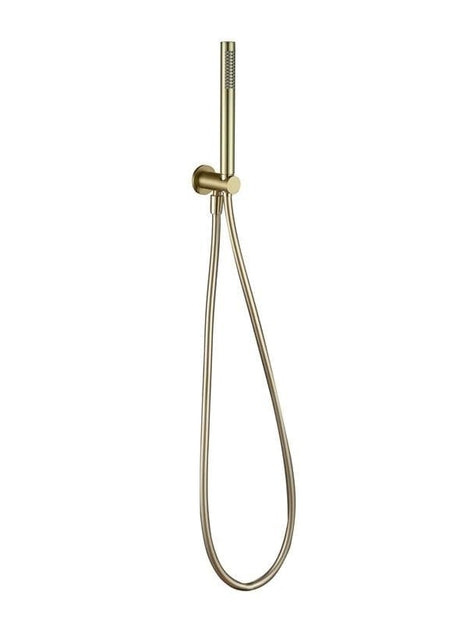 Aquarius Bathrooms Hand Held Kit Aquarius RainLux Integrated Outlet Round Handheld Shower Kit Brushed Brass AQRL12BB