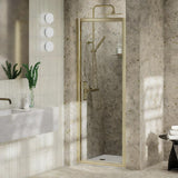 Aquarius Pluvia 8mm Pivot Shower Door