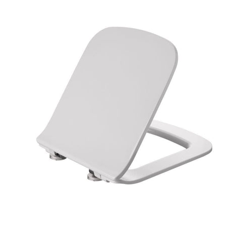 Aquarius Bathrooms Back To Wall Toilet Aquarius Sequoia Back To Wall Rimless Toilet with Slimline Soft Close Seat