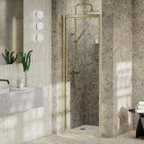 Aquarius Pluvia 8mm Pivot Shower Door