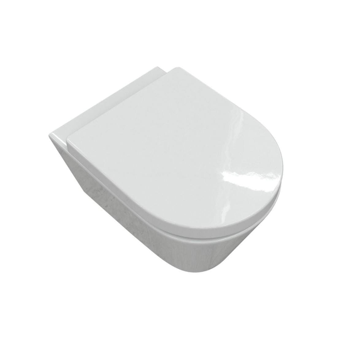 Aquarius Bathrooms Wall Hung Toilet Aquarius Emma Rimless Wall Hung Toilet with Soft Close Seat