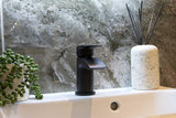 Aquarius Arc Mini Mono Basin Mixer Tap with Waste