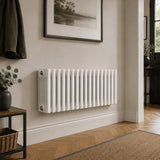Aquarius Foundry Horizontal 6 Column Radiator in White