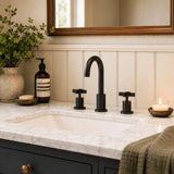 Aquarius Bathrooms 3 Hole Basin Set Aquarius Clover 3 Hole Basin Mixer Tap in Matt Black