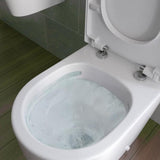 Aquarius Bathrooms Wall Hung Toilet Aquarius Urbano Rimless Wall Hung Toilet Pack with Frame, Flush Plate, Soft Closing Seat and Hinge Covers