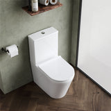 Aquarius Bathrooms Close Coupled Toilet Aquarius Metric Rimless Back to Wall Close Coupled Toilet with Soft Close Seat