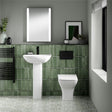 Aquarius Bathrooms Back To Wall Toilet Aquarius Arden Rimless Back to Wall Toilet with Soft Close Seat