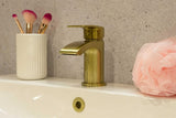 Aquarius Arc Mini Mono Basin Mixer Tap with Waste