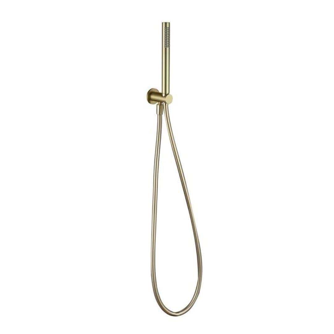 Aquarius Bathrooms Concealed Shower Set Aquarius RainLux Round 2 Outlet Shower Set with Shower Head and Single Function Handset