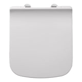 Aquarius Bathrooms Back To Wall Toilet Aquarius Sequoia Back To Wall Rimless Toilet with Slimline Soft Close Seat