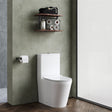 Aquarius Bathrooms Close Coupled Toilet Aquarius Metric Rimless Back to Wall Close Coupled Toilet with Soft Close Seat