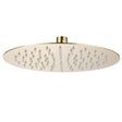 Aquarius Bathrooms Fixed Shower Head Brushed Brass Aquarius RainLux Round Slim Shower Head