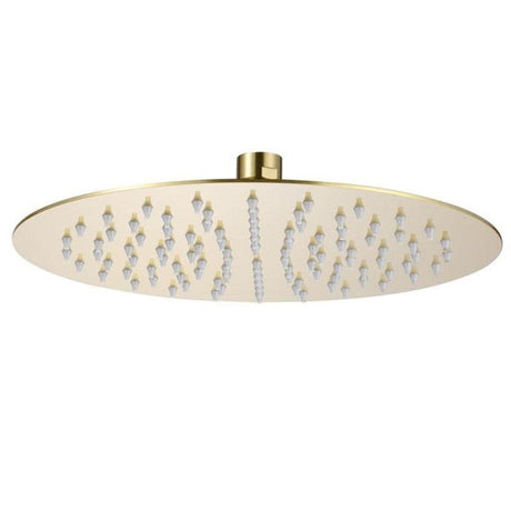 Aquarius Bathrooms Fixed Shower Head Brushed Brass Aquarius RainLux Round Slim Shower Head