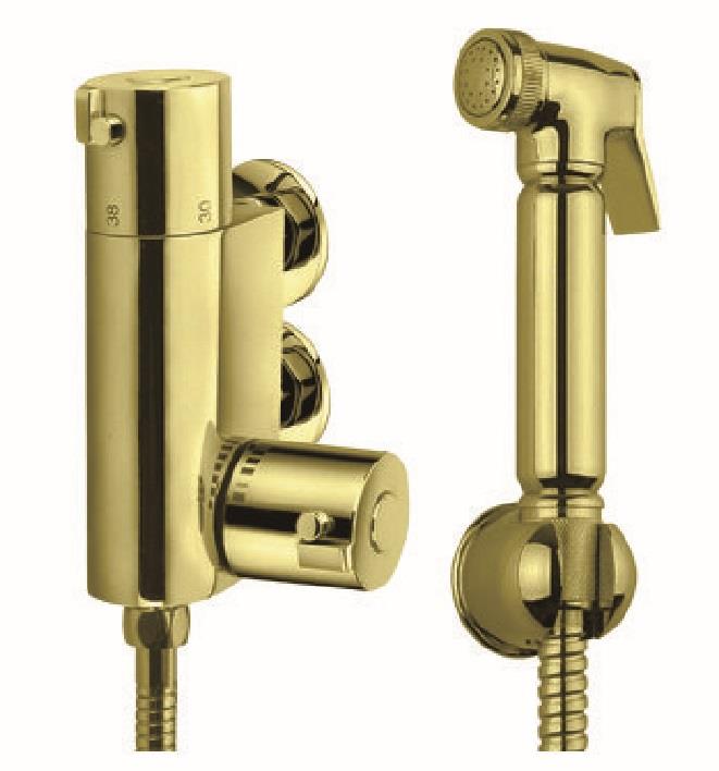 Aquarius FT Shattaf Douche Kit with Thermostatic Mini Valve Brushed Brass AQFT82BB