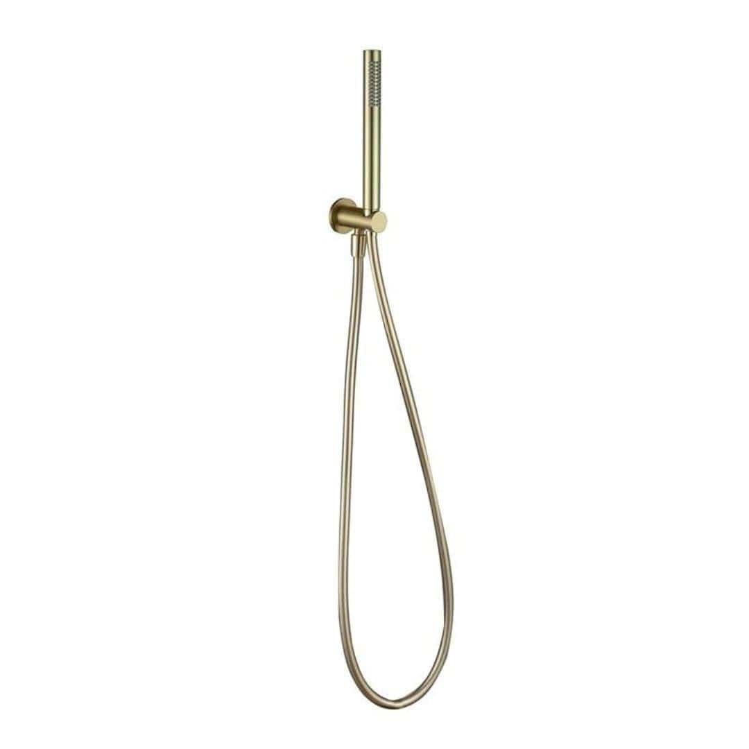 Aquarius Bathrooms Shower Handset Brushed Brass Aquarius RainLux Integrated Outlet Round Handheld Shower Kit