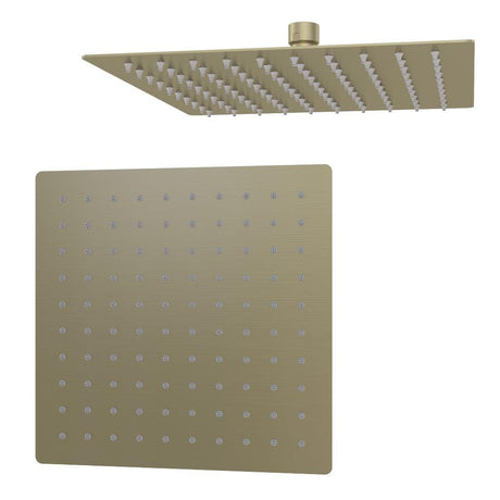 Aquarius Bathrooms Shower Head Aquarius Modern Square Over Head 200mm Shower Head Brushed Brass AQ601042